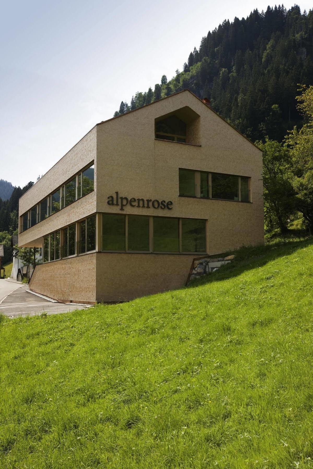 Hotel Alpenrose Ebnit دورنبيرن المظهر الخارجي الصورة